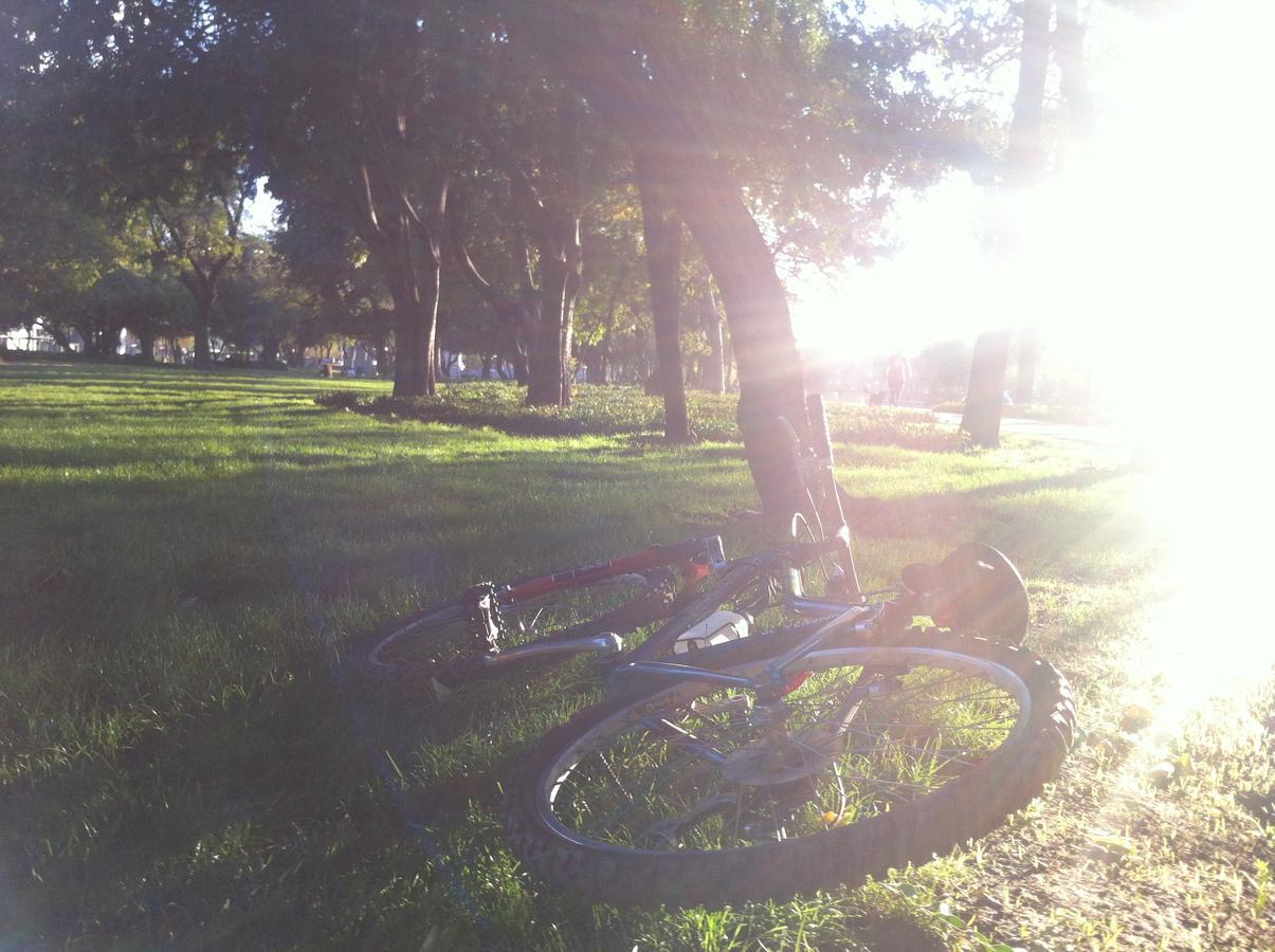 Apartamento Santa Maria Forestal